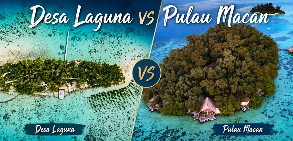Desa Laguna vs Pulau Macan