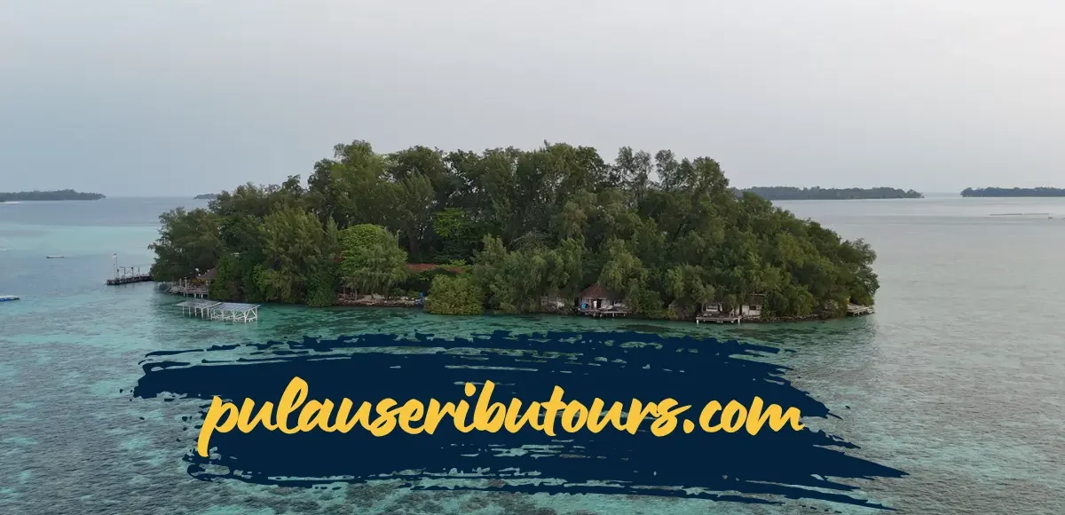 Review Pulau Macan