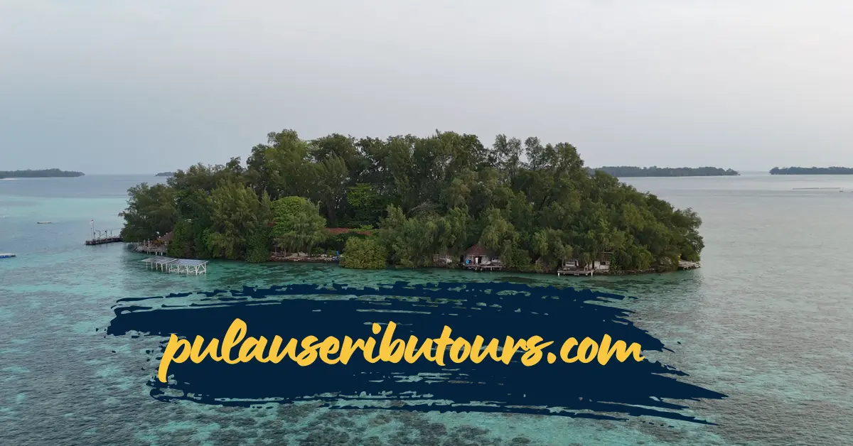 Review Pulau Macan