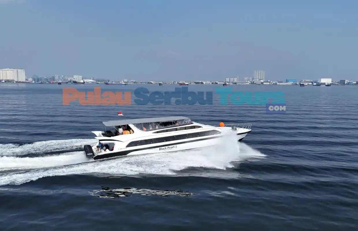 Speedboat reguler dari Marina Ancol menuju Pulau Sepa