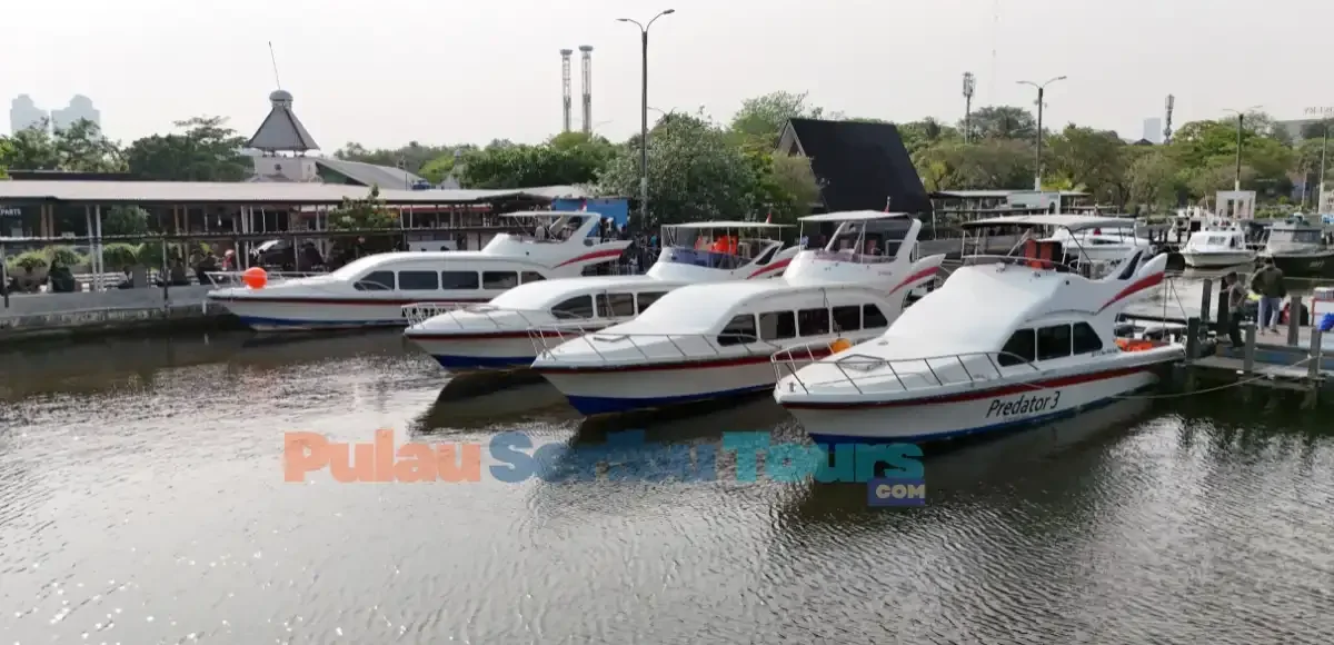 Kapal private menuju Pulau Sepa dari Marina Ancol